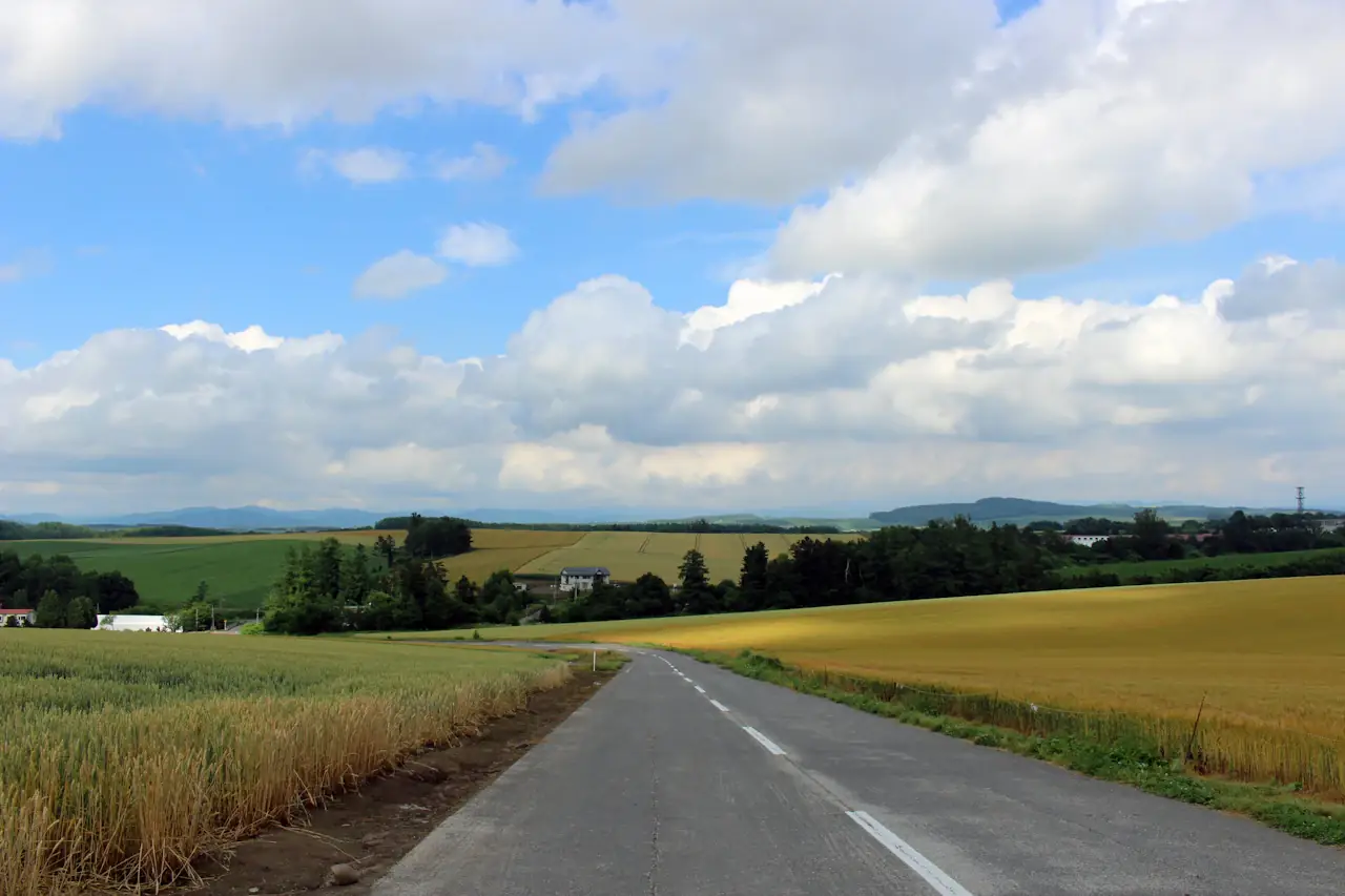 A country road through green fields near Sapporo, Hokkaido