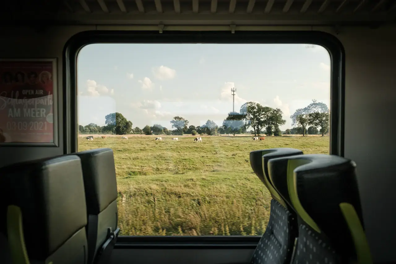 Looking out of a train window across a sunny green pasture, seat backs framing the view